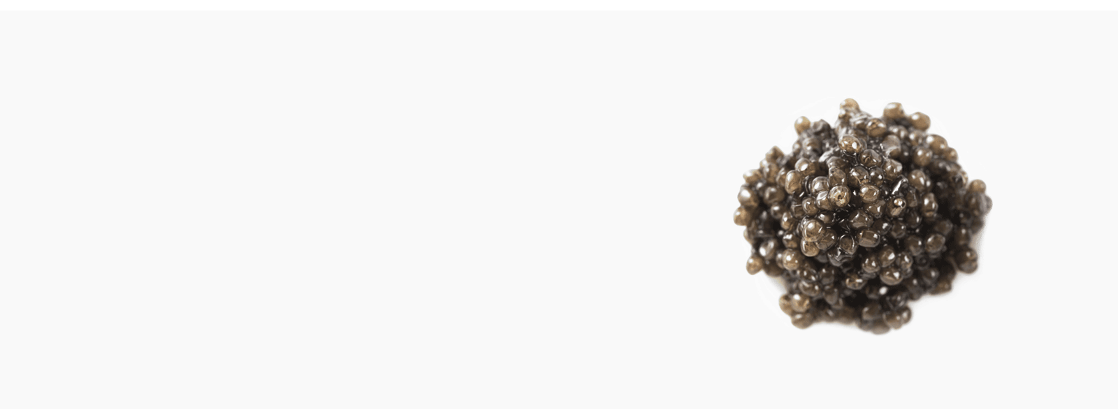 ca-new-banner